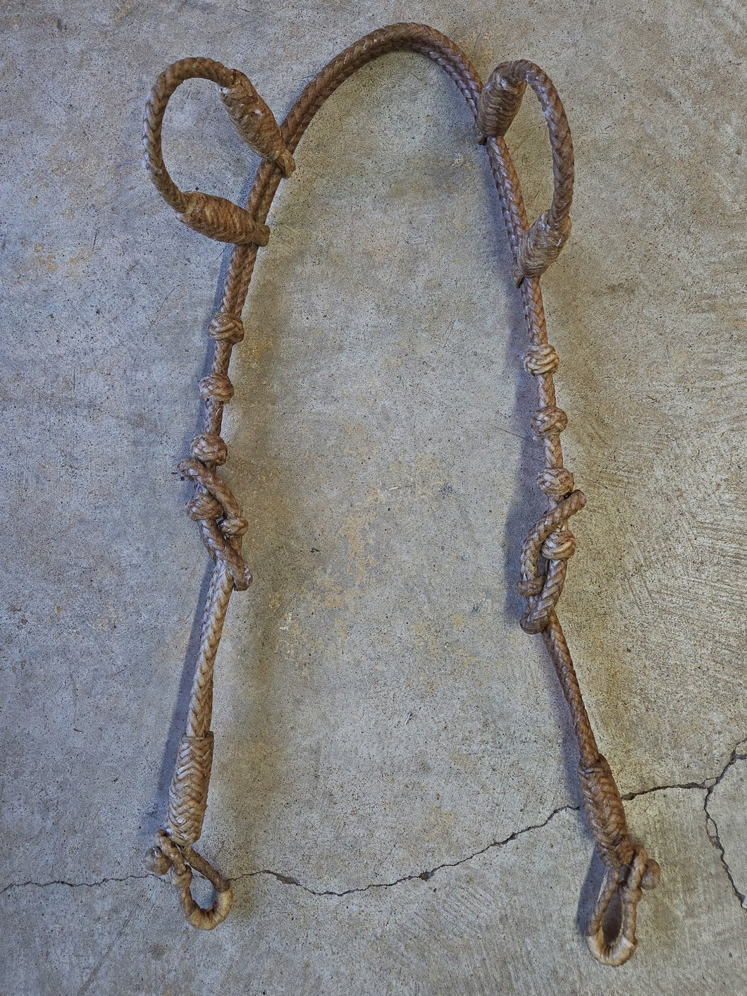 Double Ear Headstall 12 Plait Cow Rawhide
